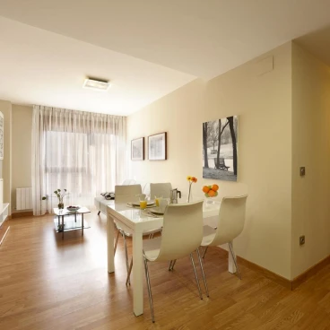 Bilbao Apartamentos Atxuri