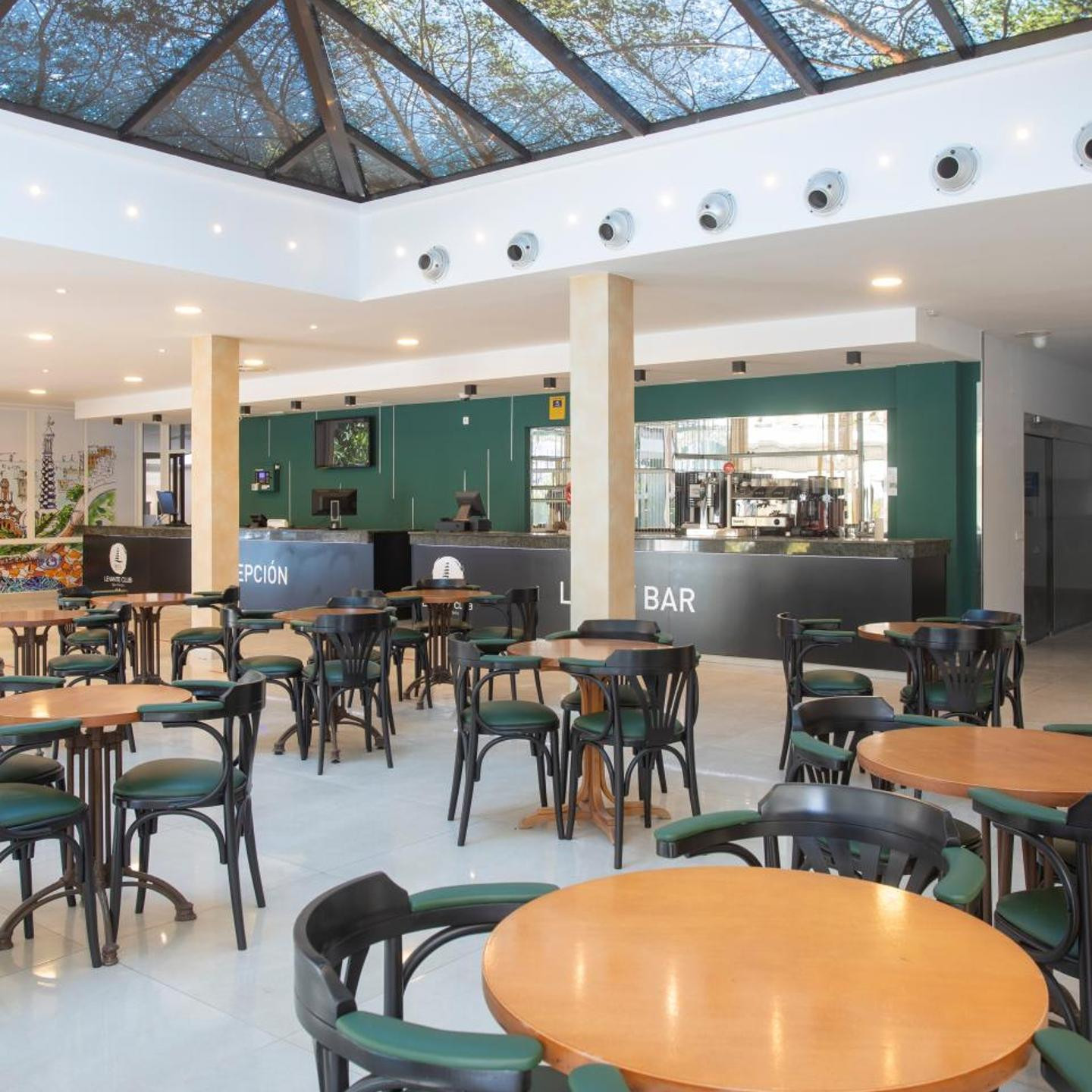 BCL Levante Club Benidorm