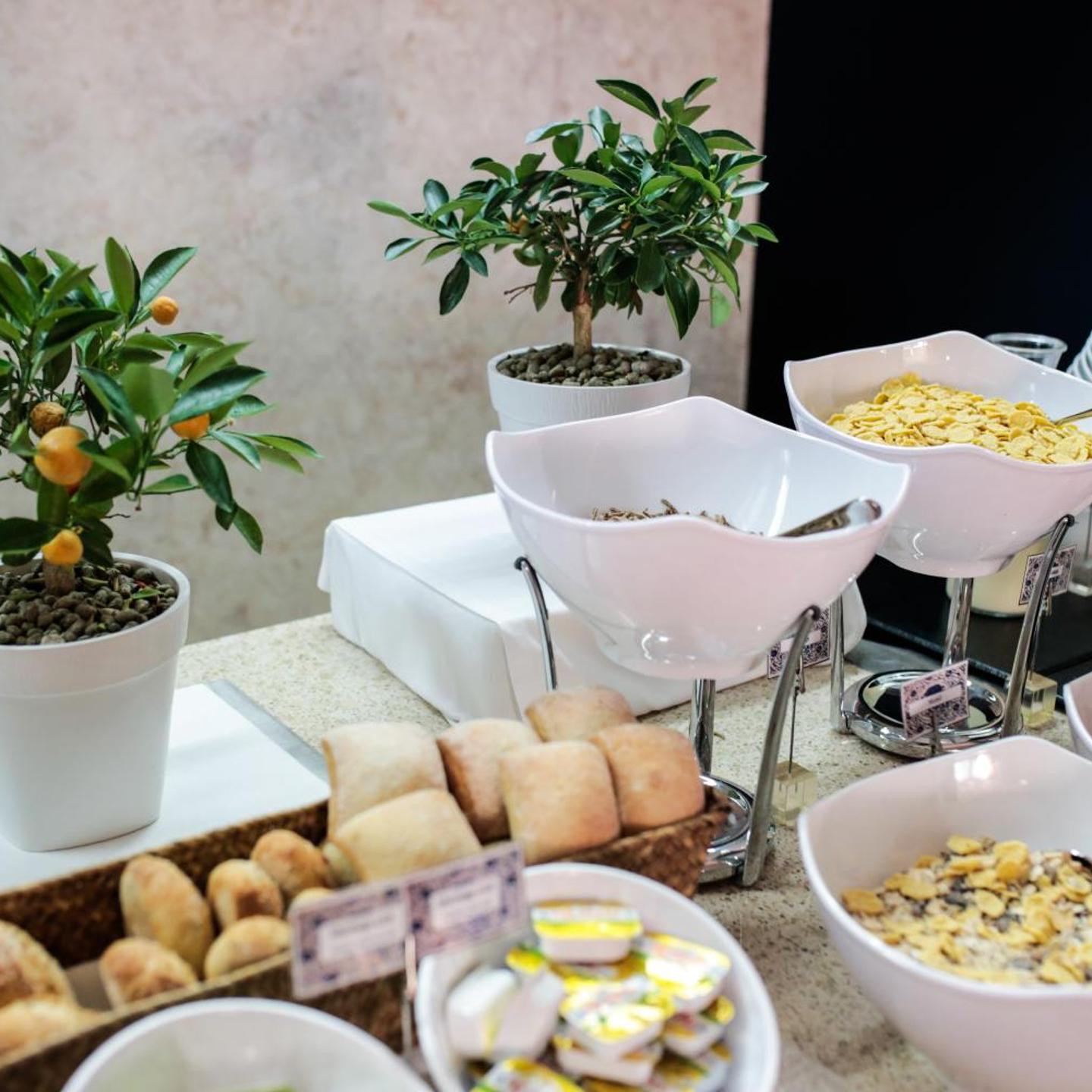 NAU Palacio do Governador