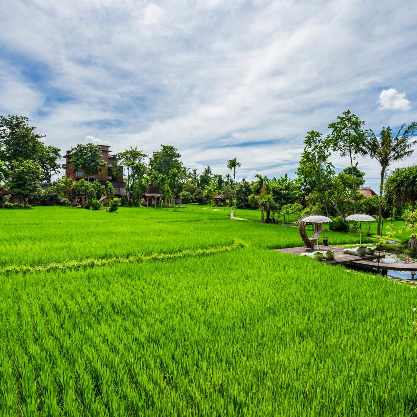 KajaNe Yangloni at Ubud Bali