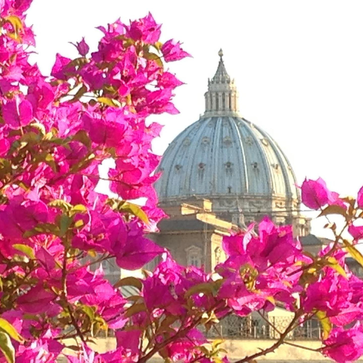 Hotel dei Consoli Vaticano