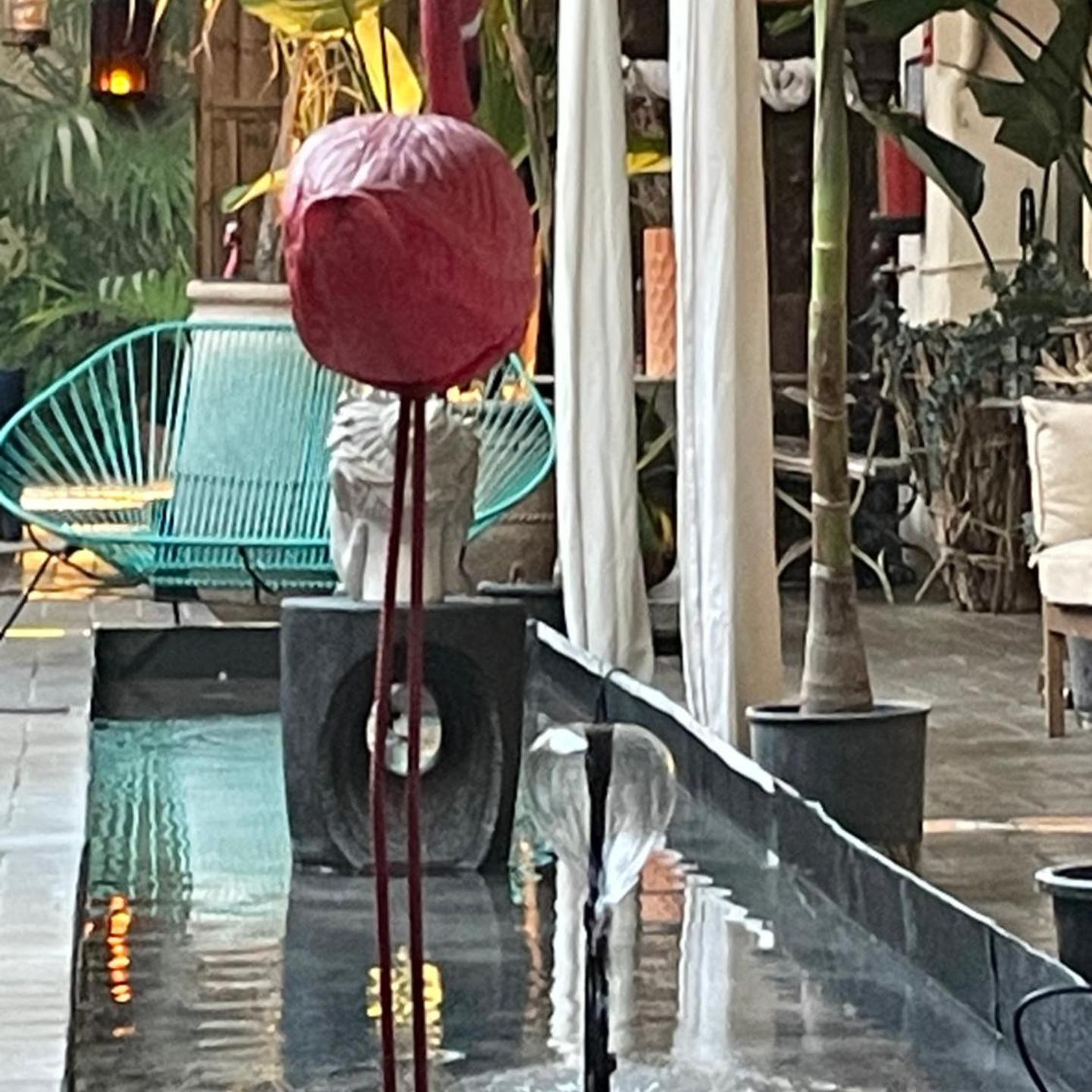 Natura LifeStyle gran Vía