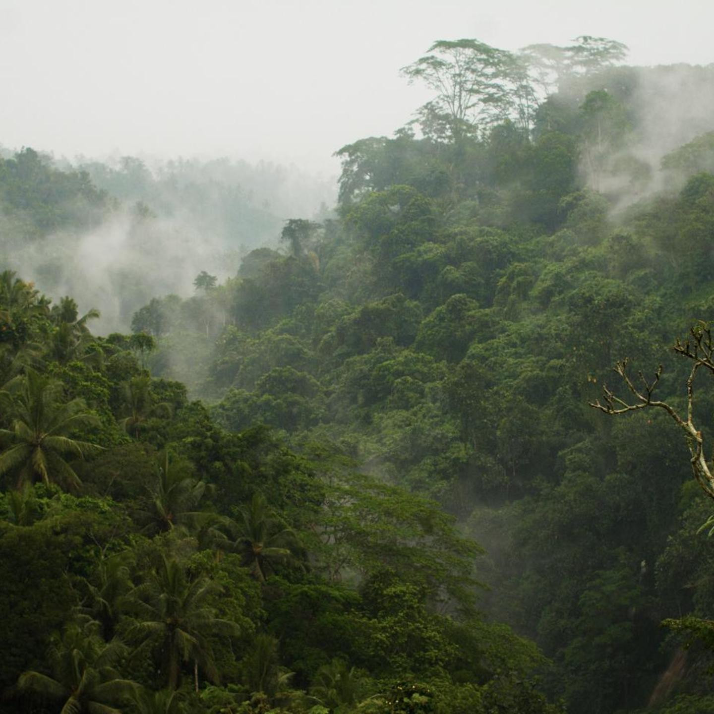 Puri Wulandari A Boutique Resort & Spa - CHSE Certified