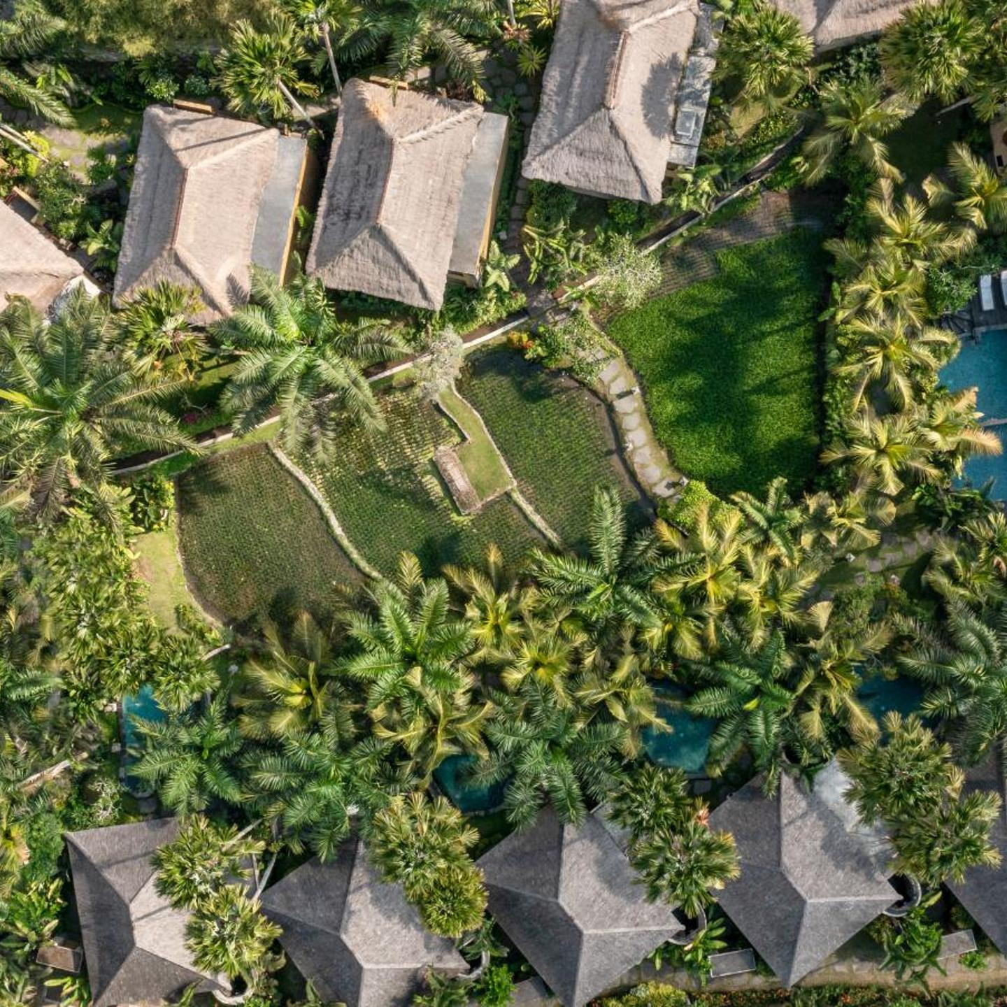 The Sankara Resort Ubud