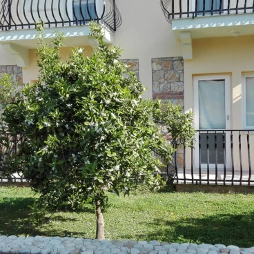 Mavruka Hotel