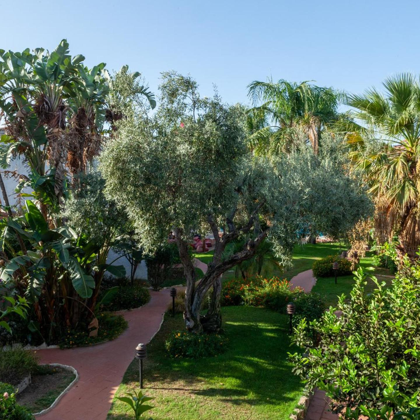 Nora Club Hotel & Spa