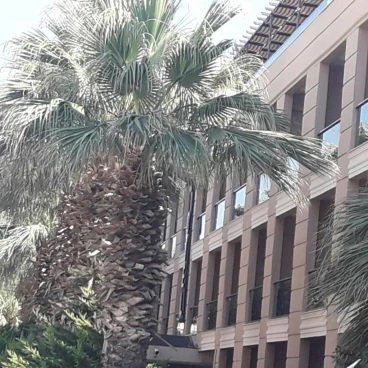 Nazar Hotel
