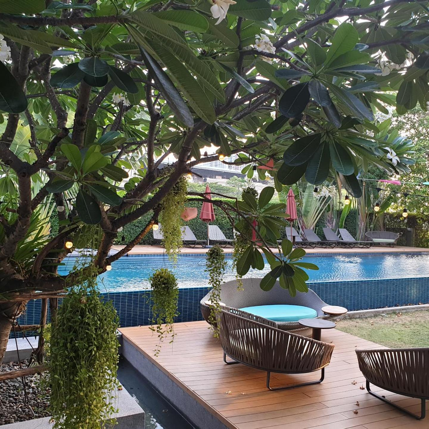 The Silver Palm Wellness Resort