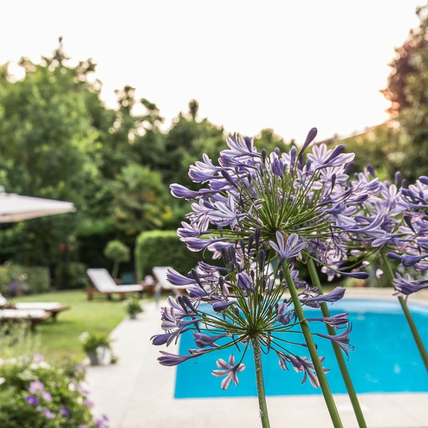 Ristorante Albergo Ca' Vittoria