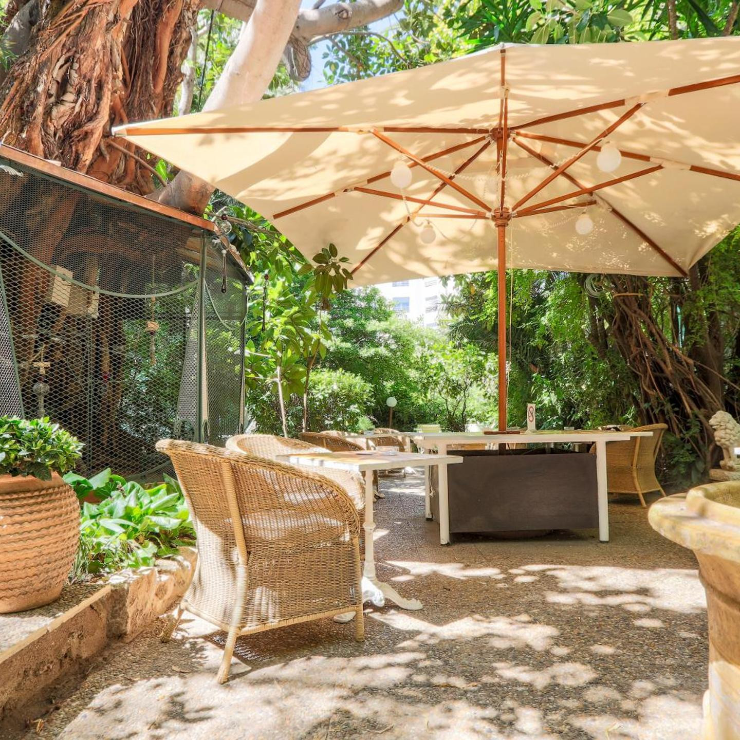 Le Windsor, Jungle Art Hotel