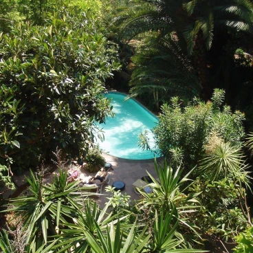 Le Windsor, Jungle Art Hotel