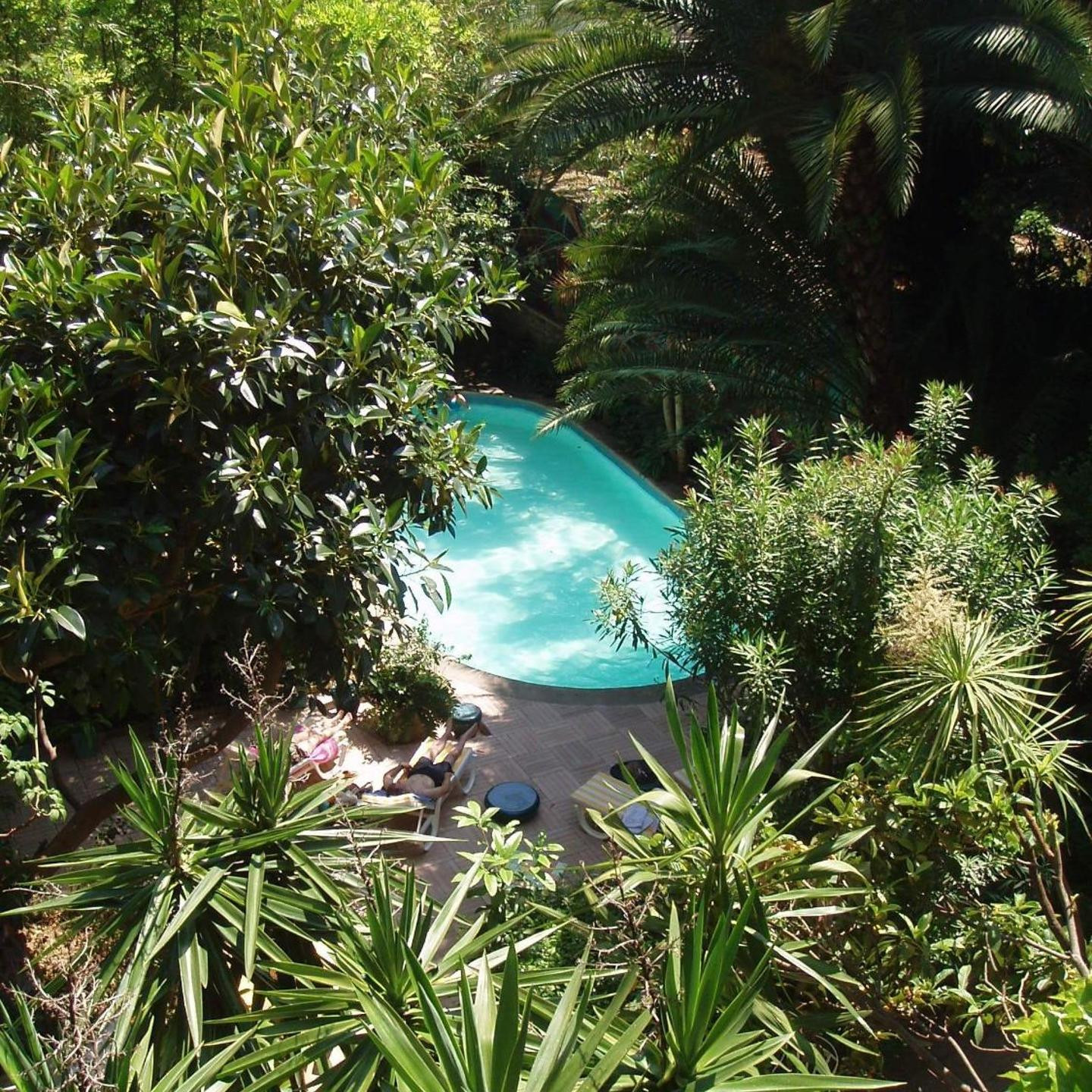 Le Windsor, Jungle Art Hotel