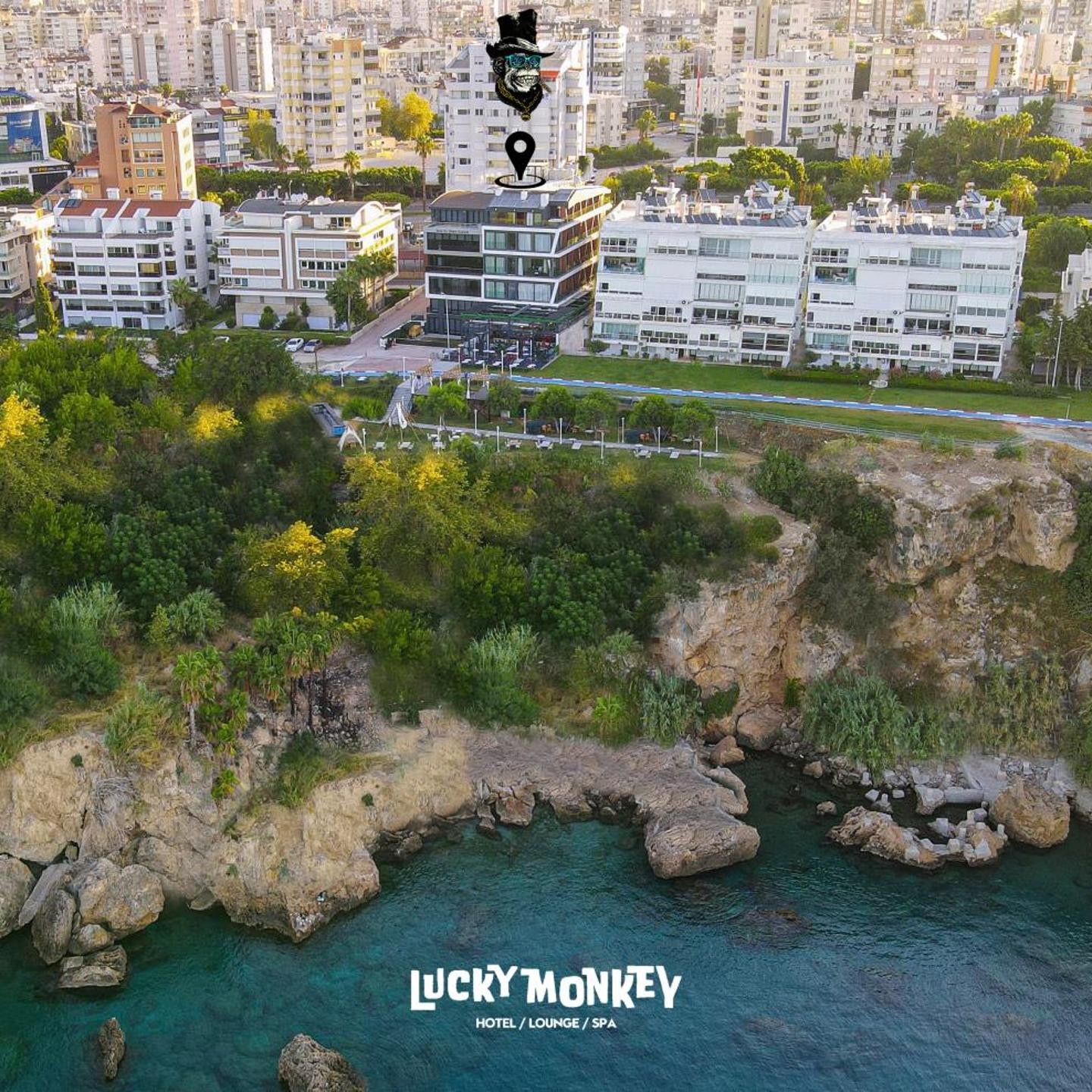 Lucky Monkey Hotel