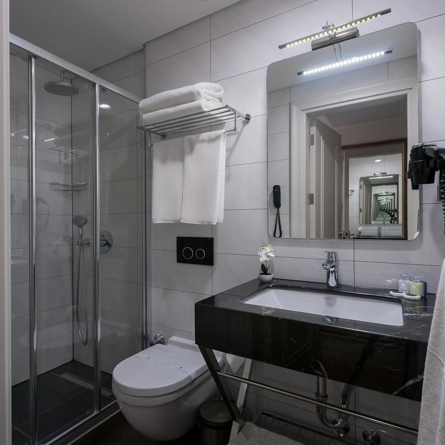 Le Petit Palace Hotel - Special Category