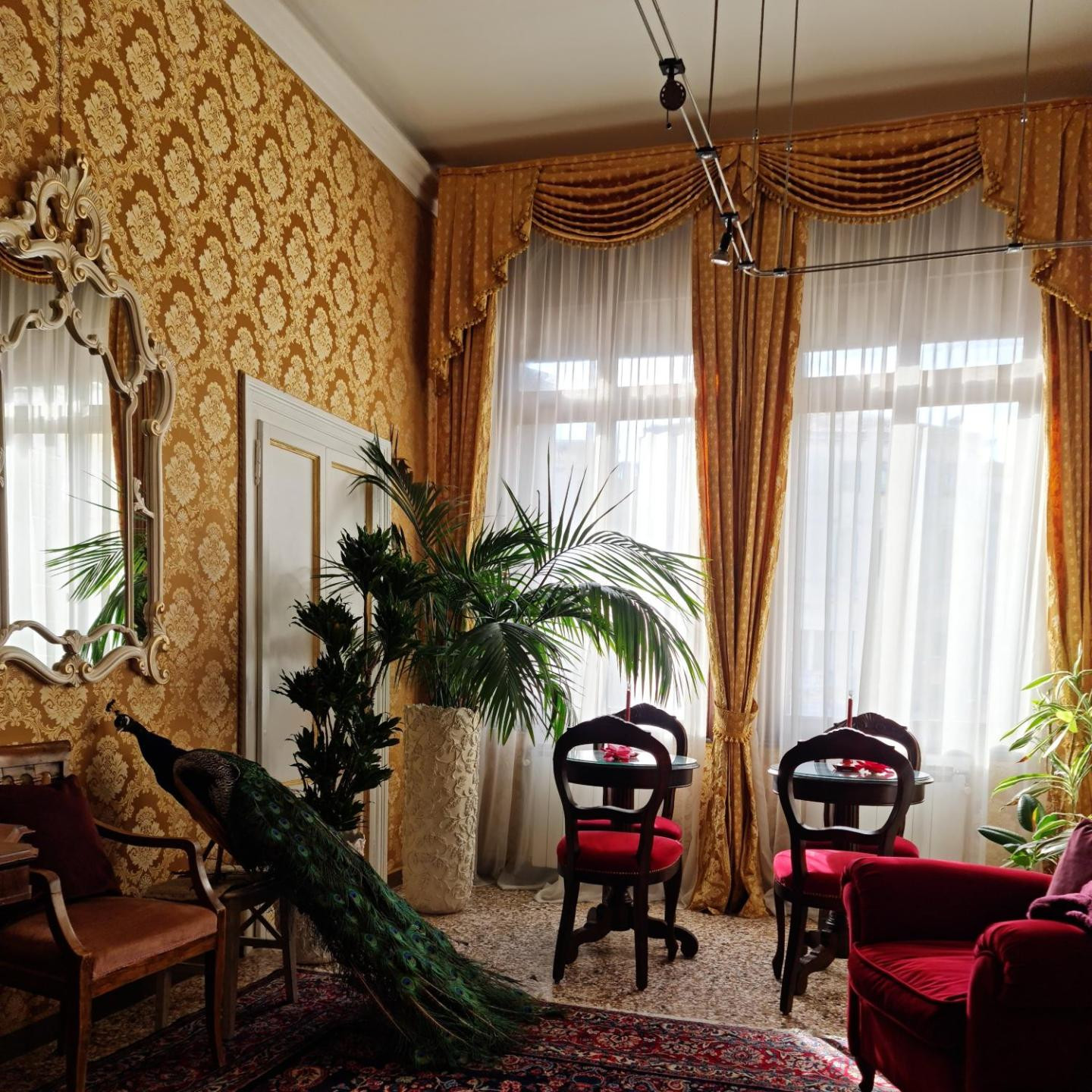 Luxury Suites in Venice-Friendly Venice Suites