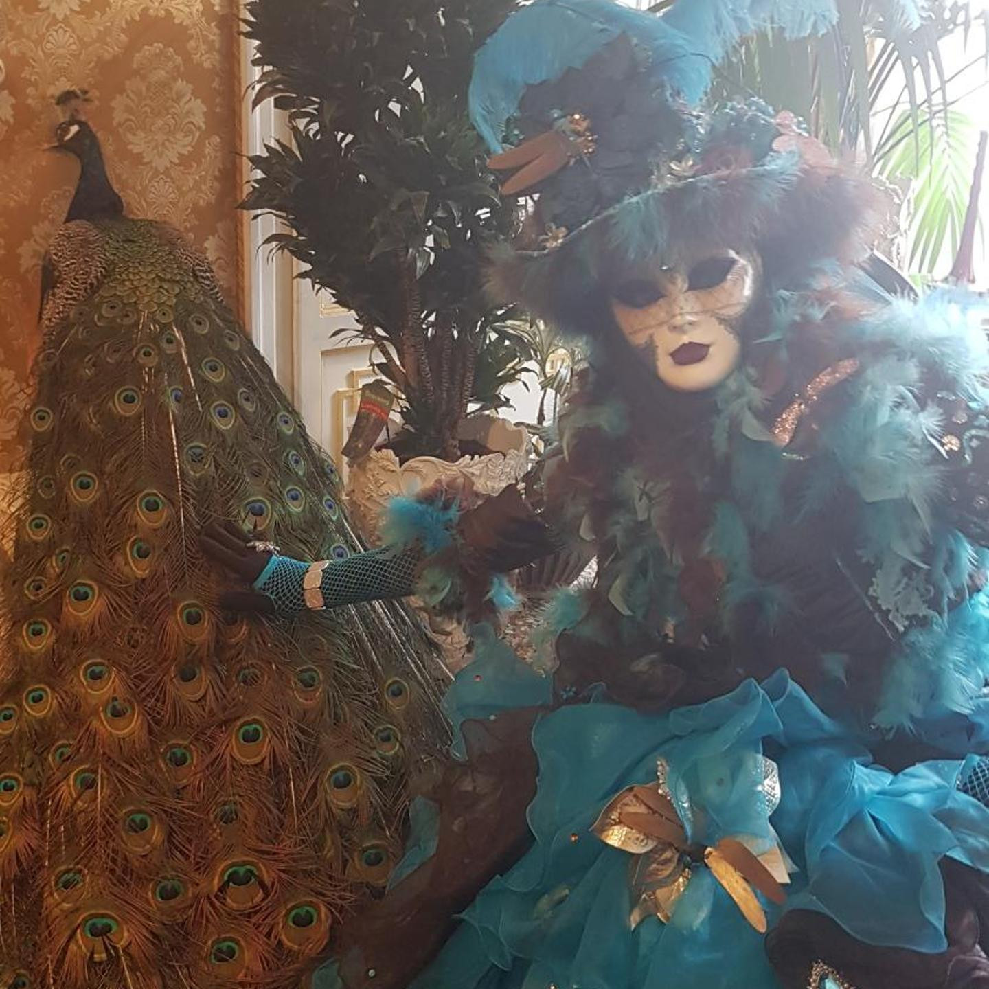 Luxury Suites in Venice-Friendly Venice Suites