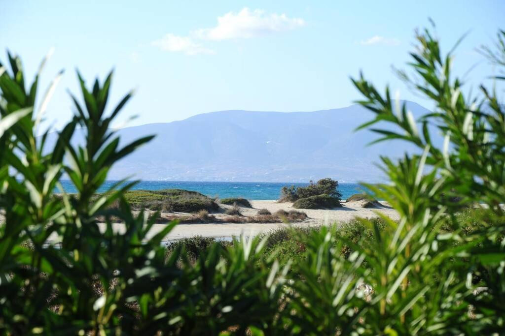 Glyfada apartment sea view