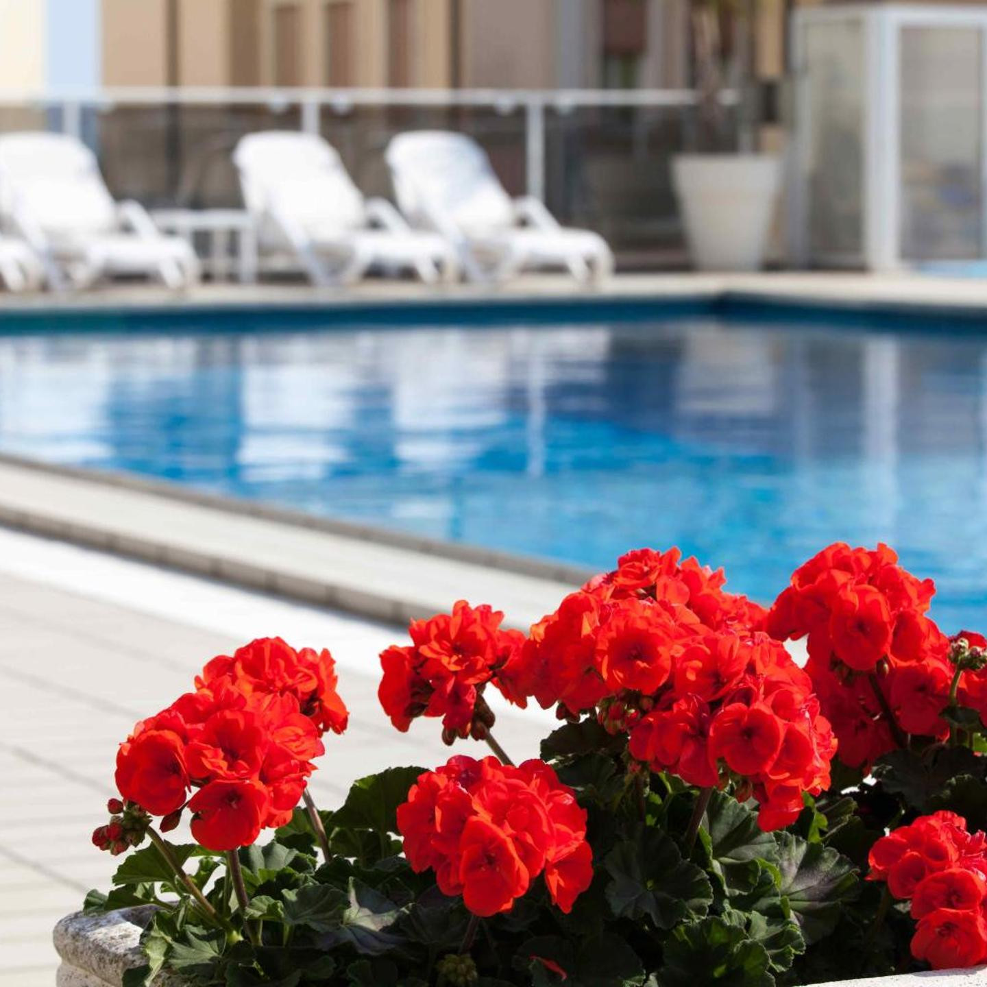 Hotel Rosanna 3 Stelle Superior