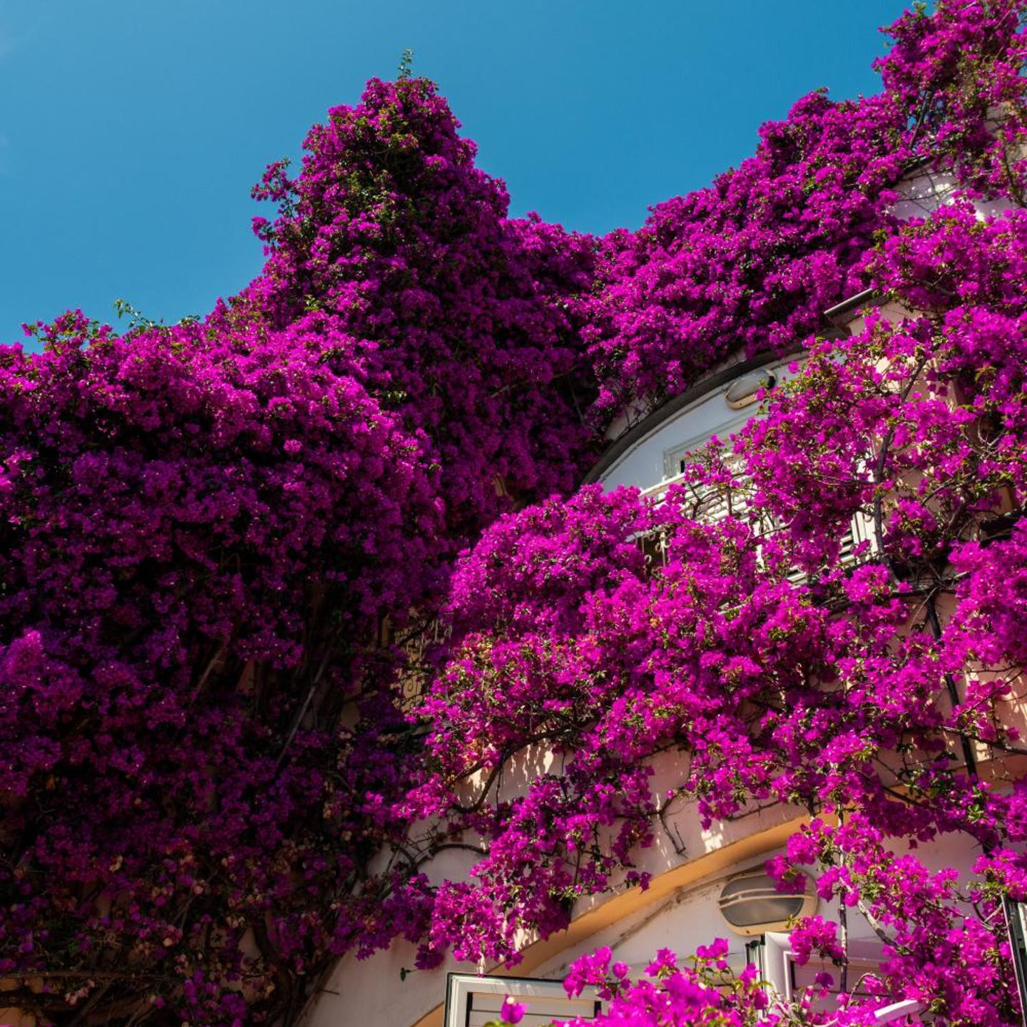 Positano Art Hotel Pasitea