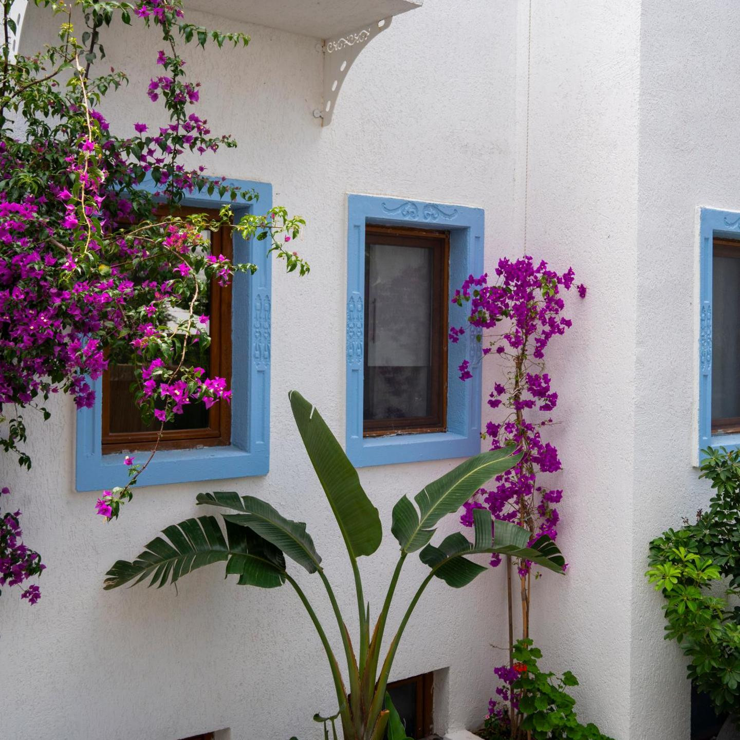 Manuela Boutique Hotel Bitez