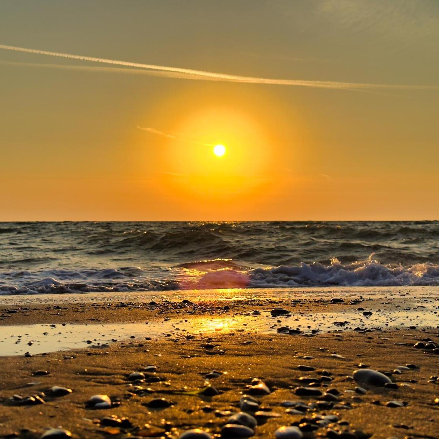 CSA Hotel Beach & Park