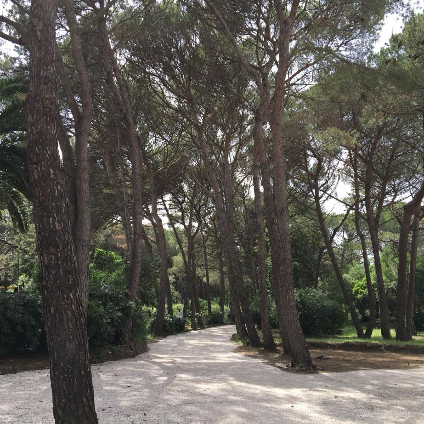 CSA Hotel Beach & Park