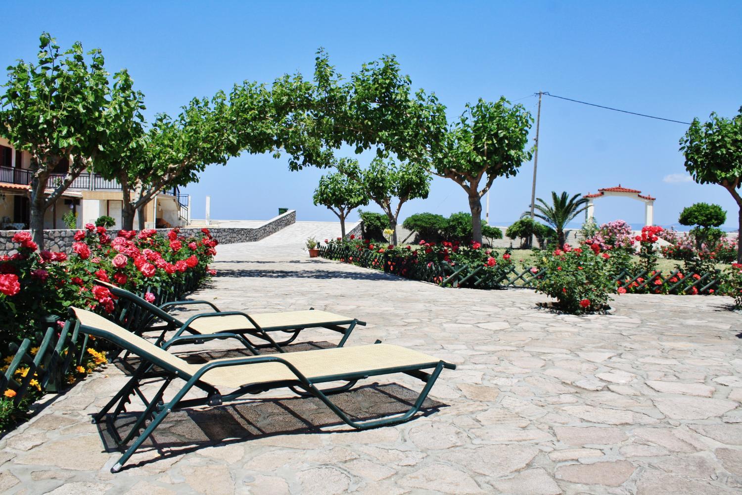 Villa Vicky Studios