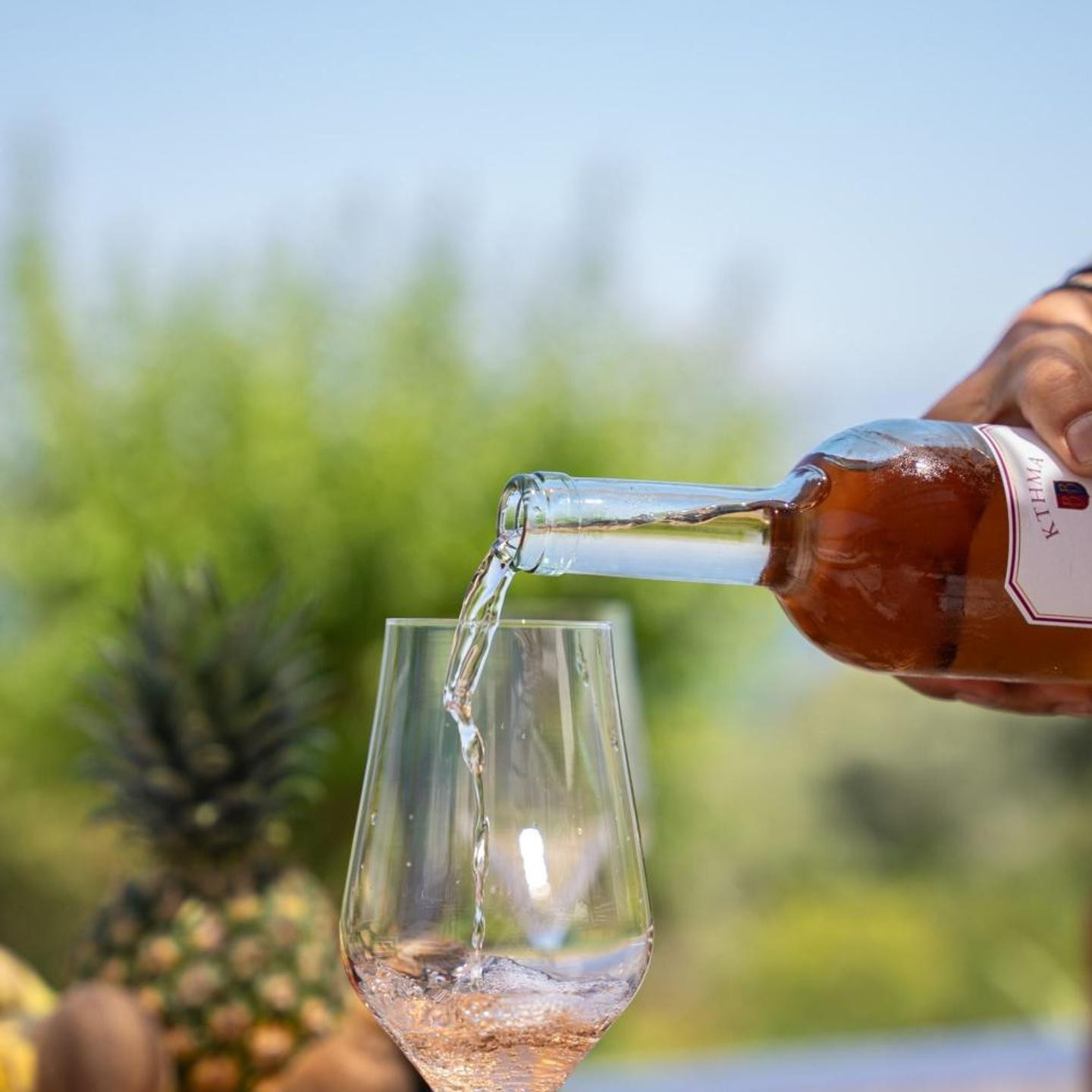 Cavalier Suites Nikiana Lefkada AV Properties