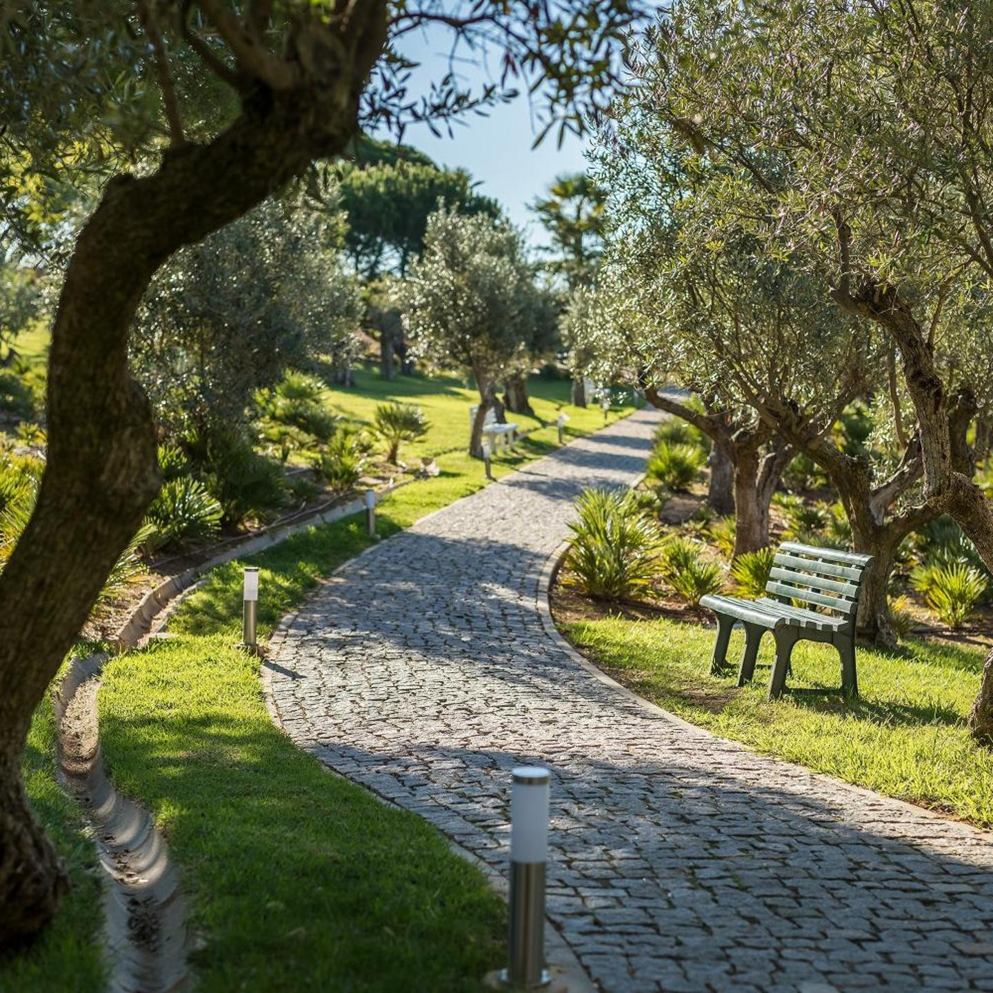 Kimpton Atlantico Algarve, an IHG Hotel