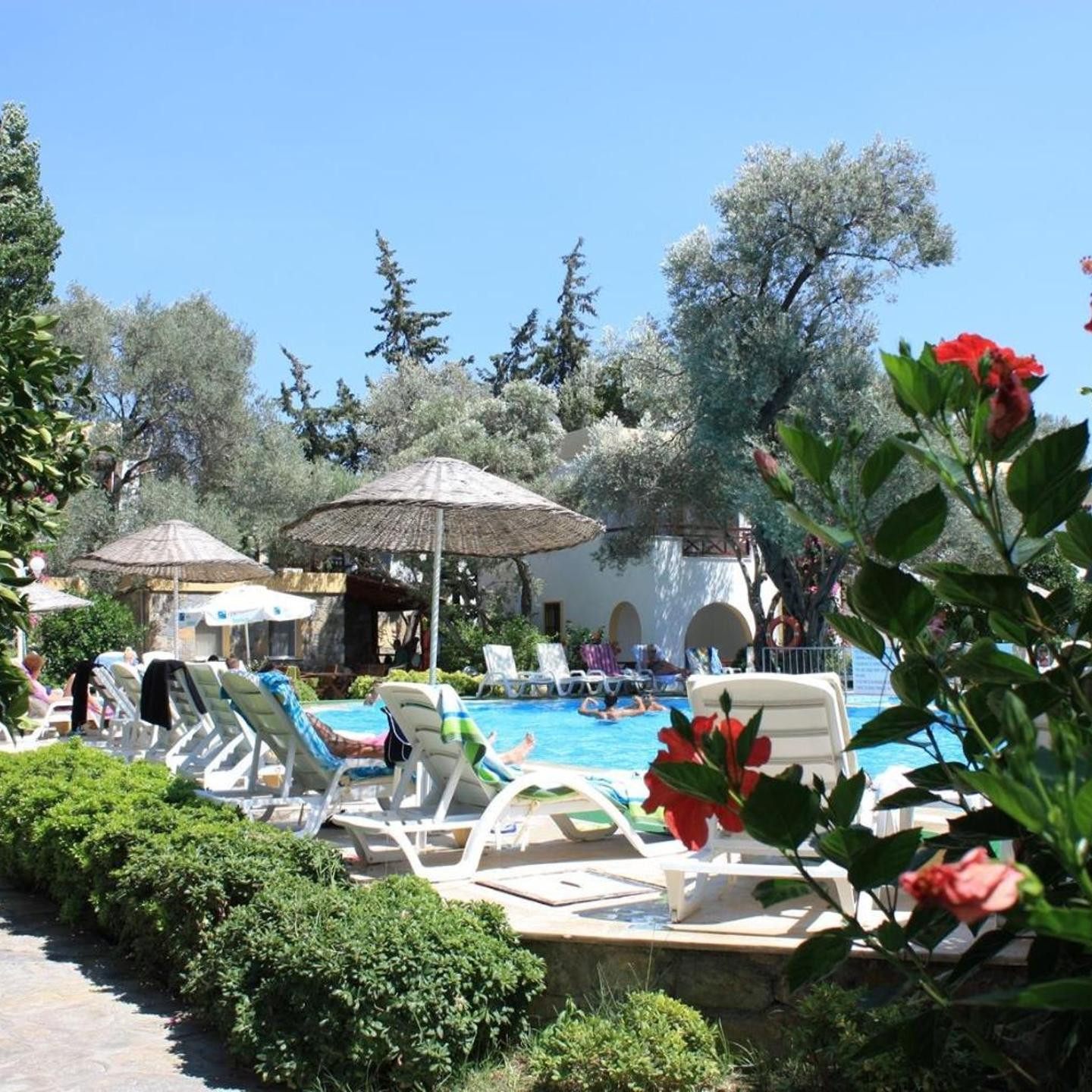 Toloman Bitezpark Apartments