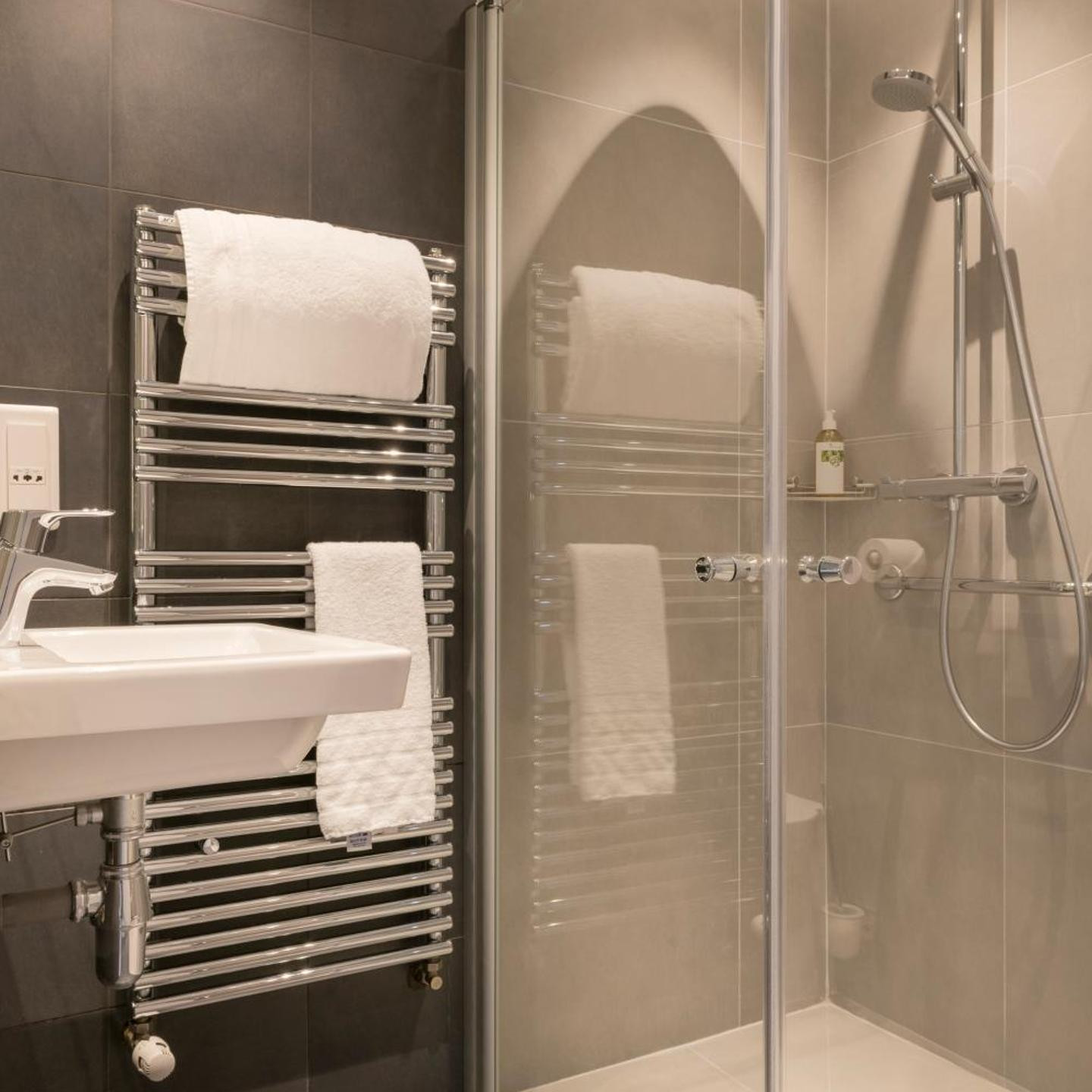 Hotel France Albion