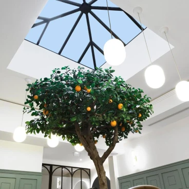 Timhotel Palais Royal
