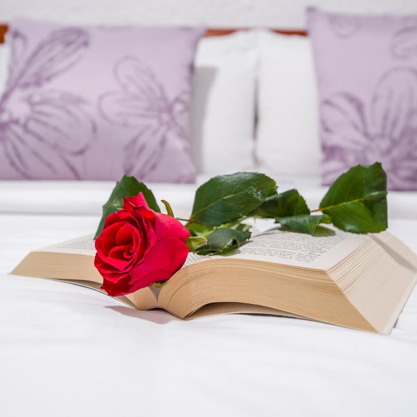 Folia Apartments Chania