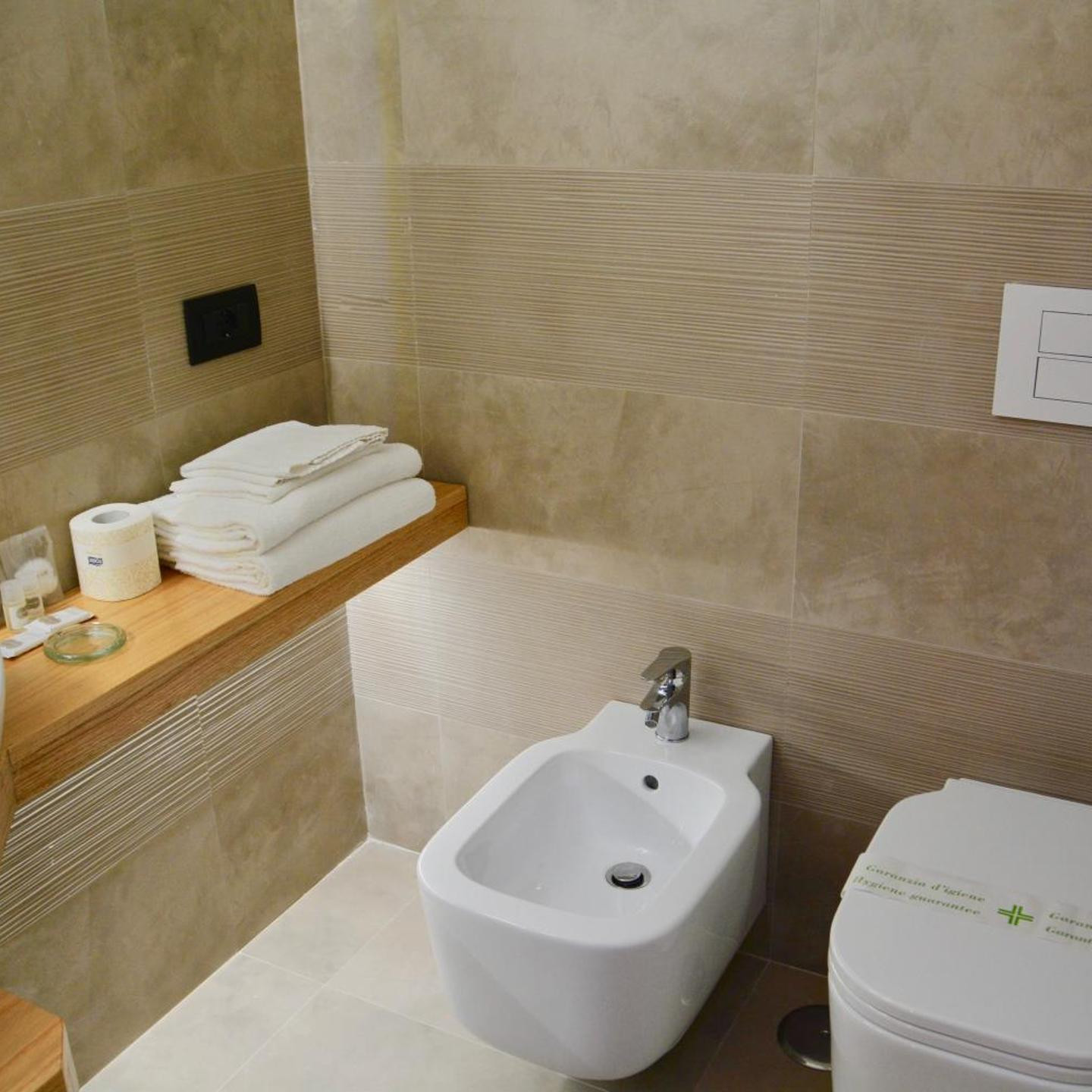Hotel Giotto Flavia