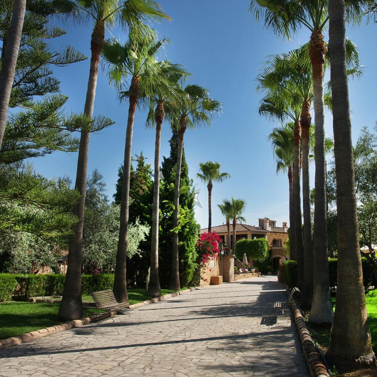 Hotel Son Molí Country House