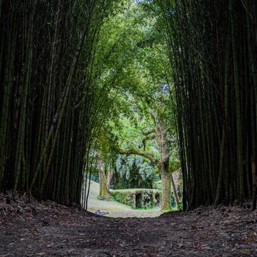 Cantos Green Garden