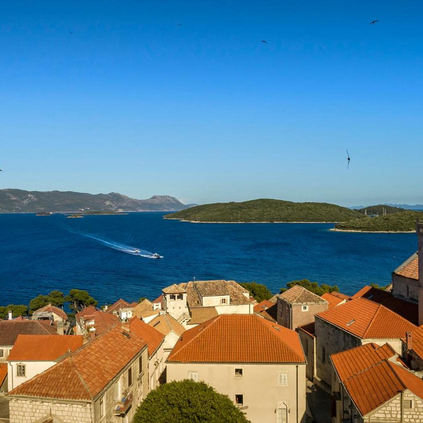 Marko Polo Maradiso Hotel by Aminess