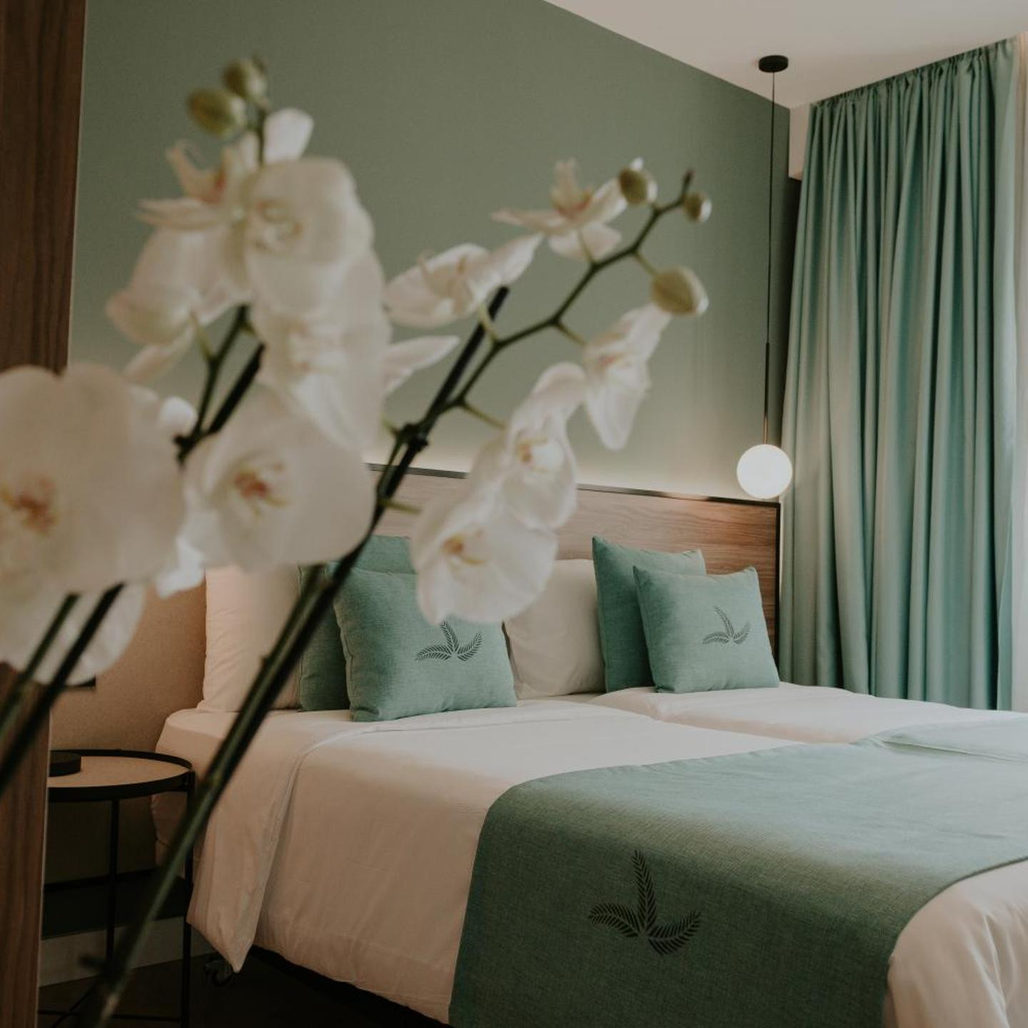 Catalina Plaza Hotel Sostenible
