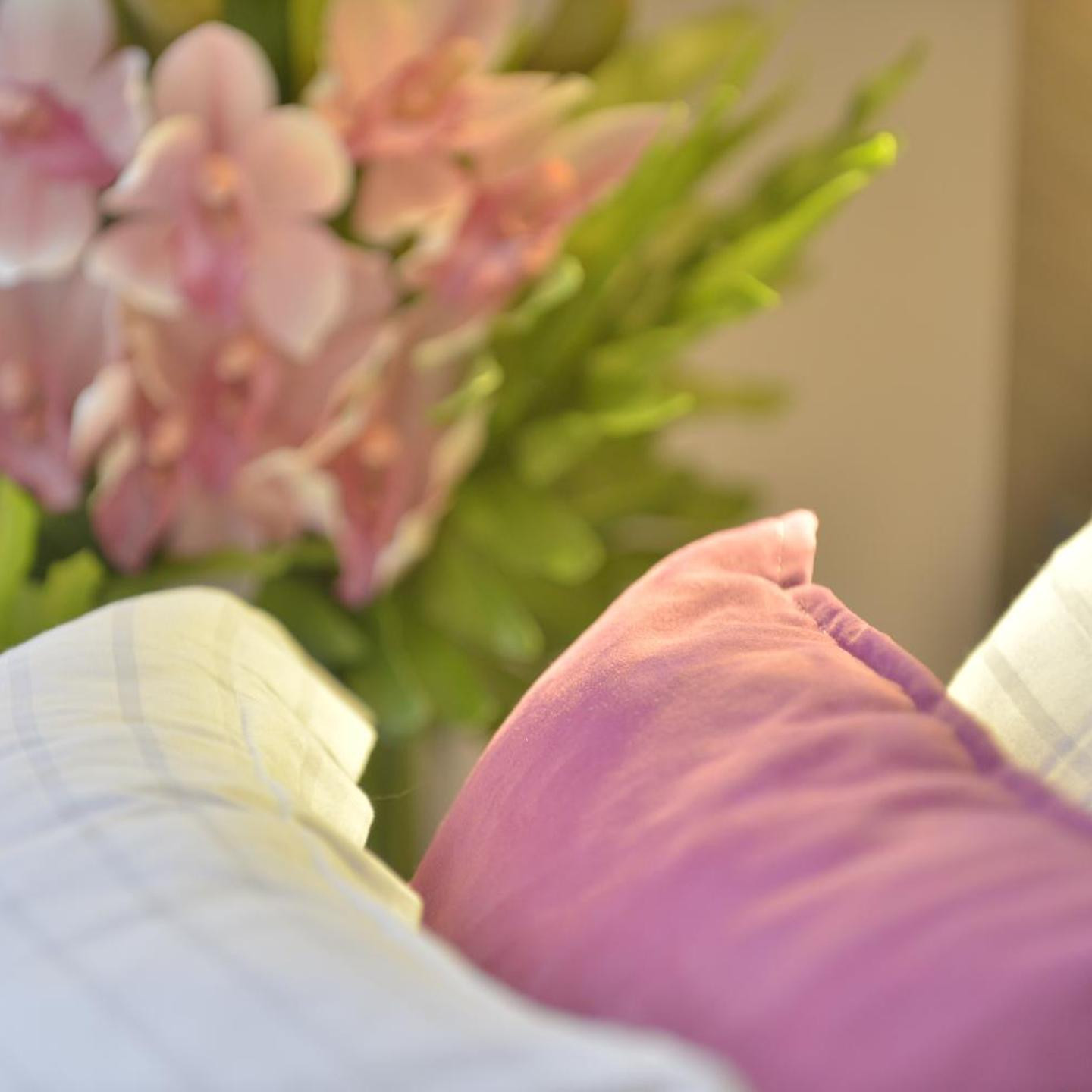 Unic Renoir Saint Germain