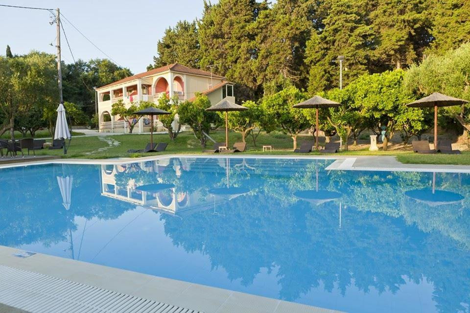 Eleas gi (Olive Grove Estate)