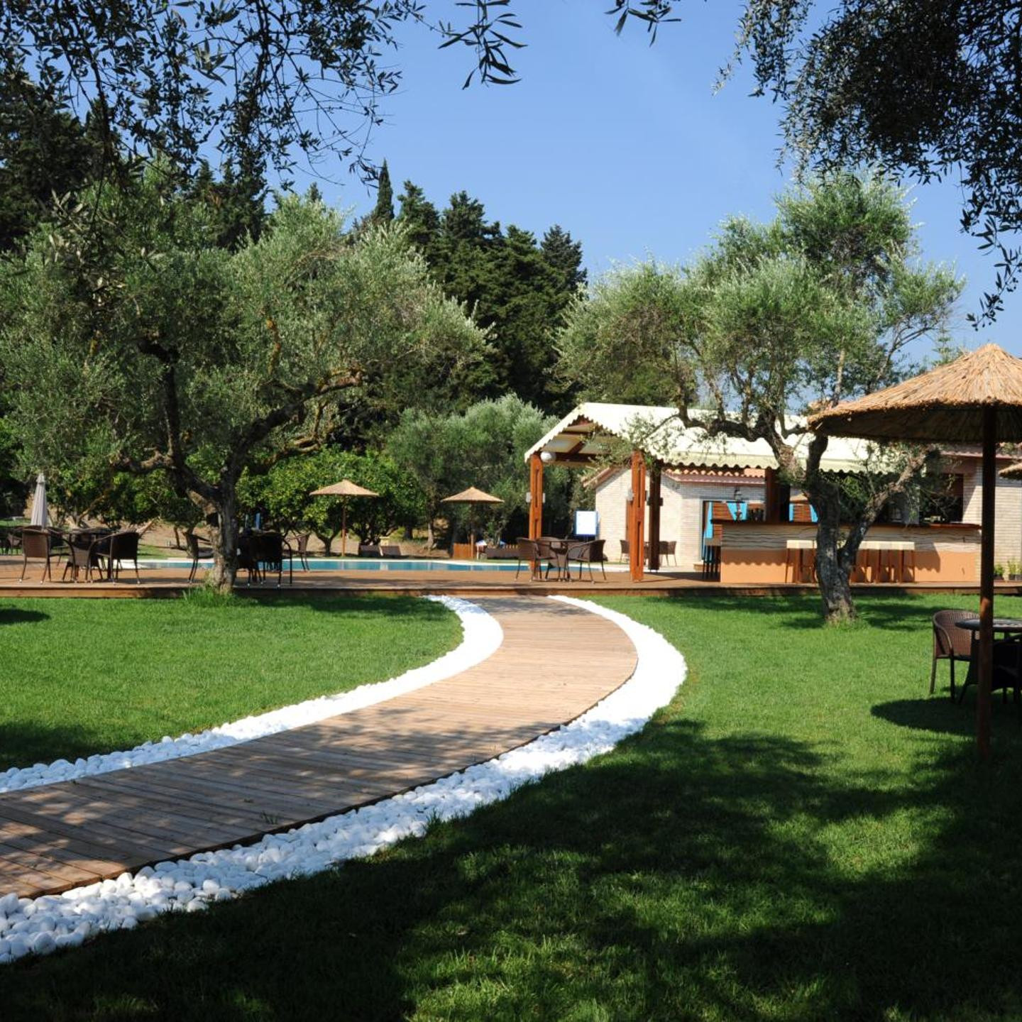 Eleas gi (Olive Grove Estate)
