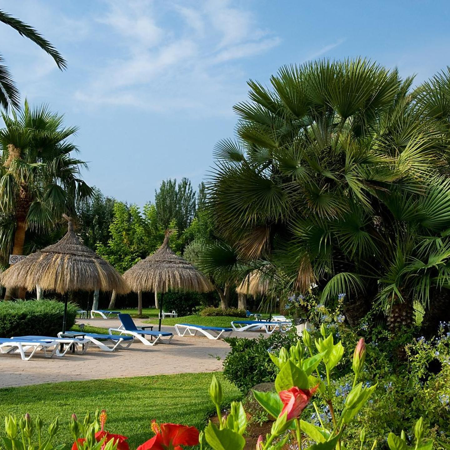 Apartamentos Siesta I