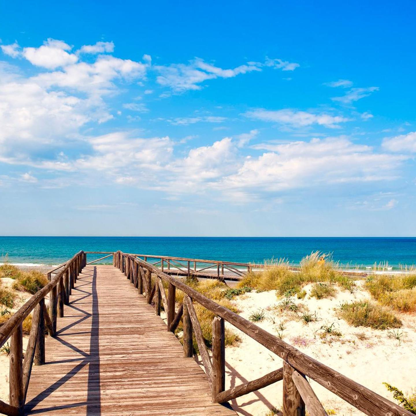 Sol Sancti Petri Aparthotel