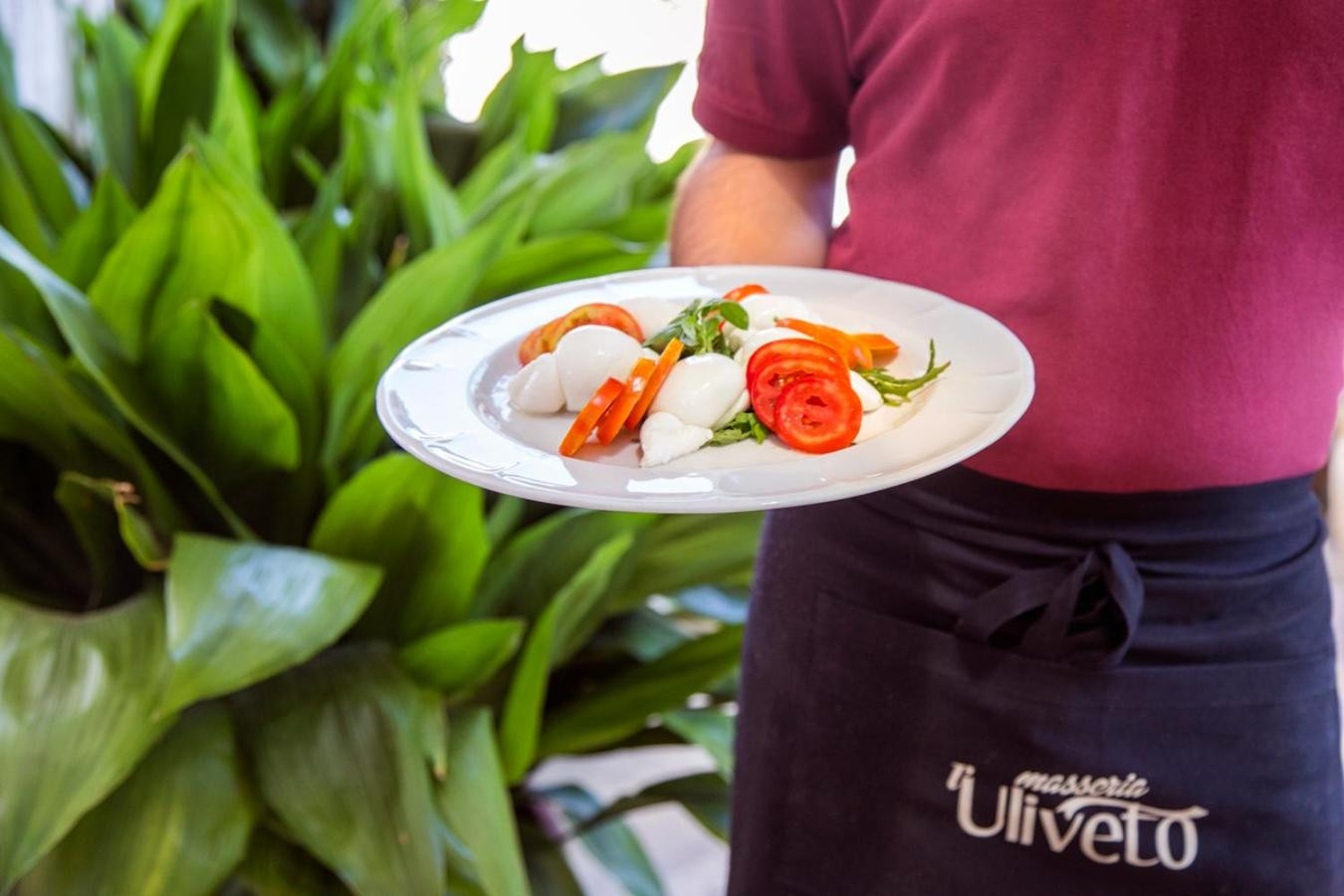 Masseria L'Uliveto Agri Resort