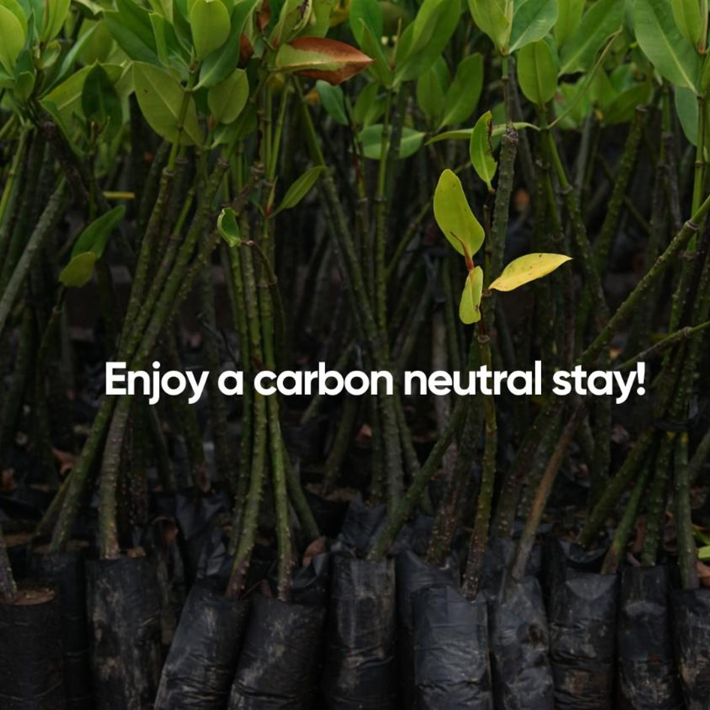 First Hotel Millennium