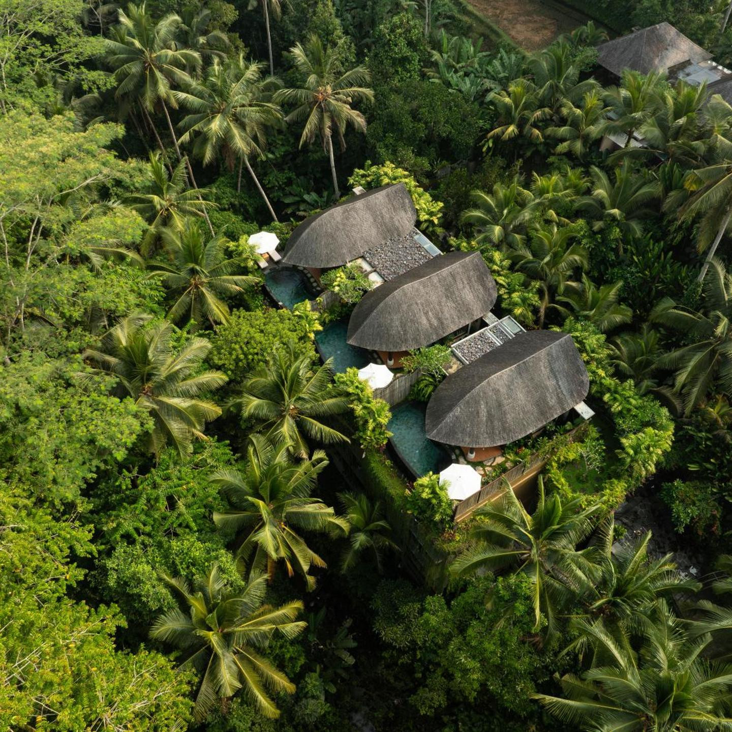 Abisena Wellness & Resort Ubud-Adult Only