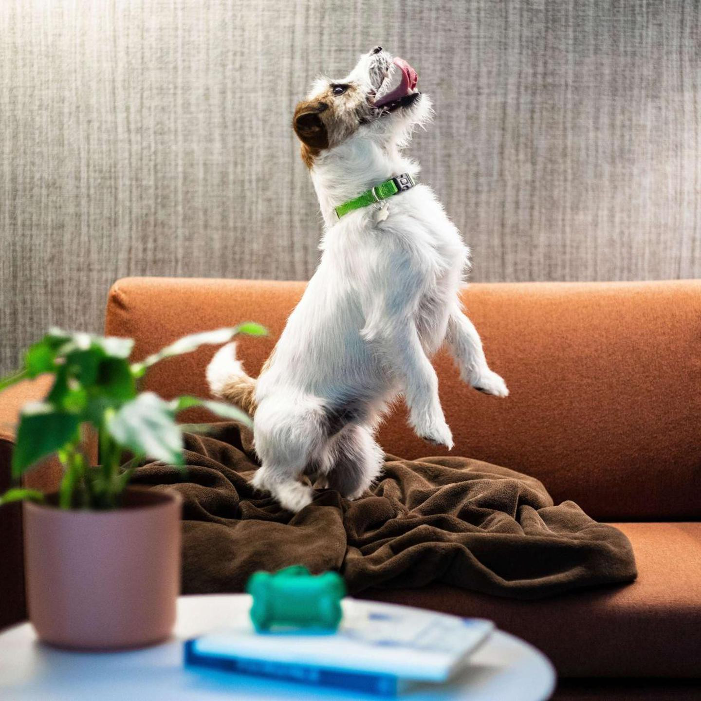 Mercure Firenze Centro