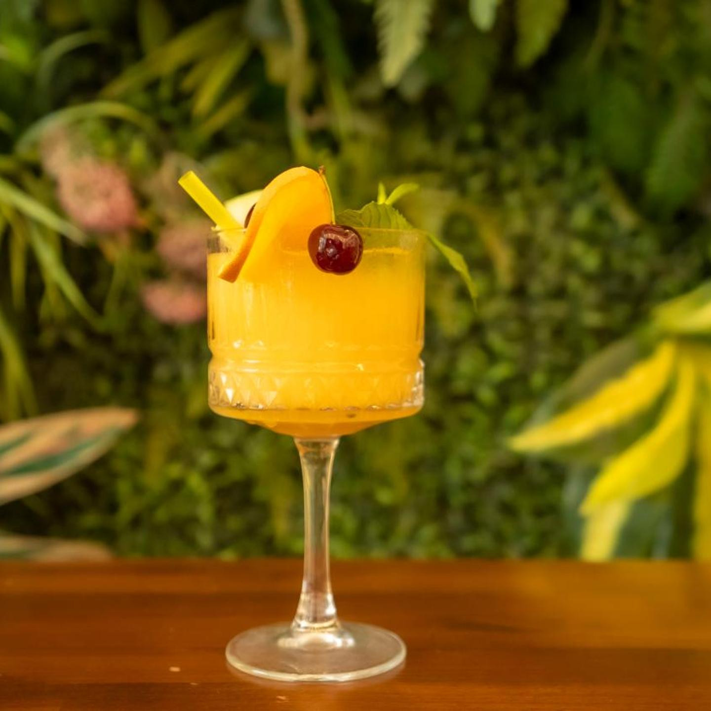 Farina Hotel By Cigno