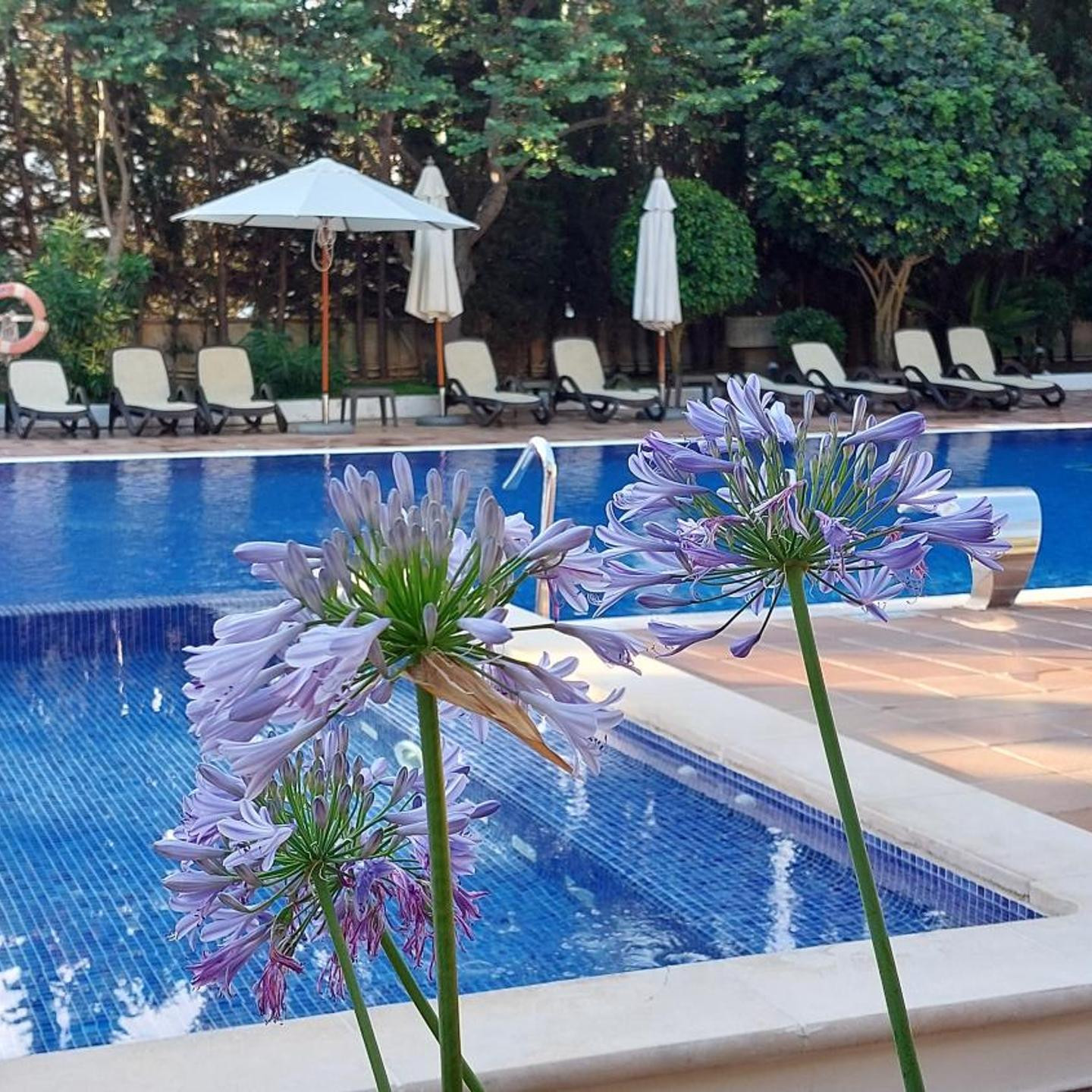 ROC Oberoy - Adults Only