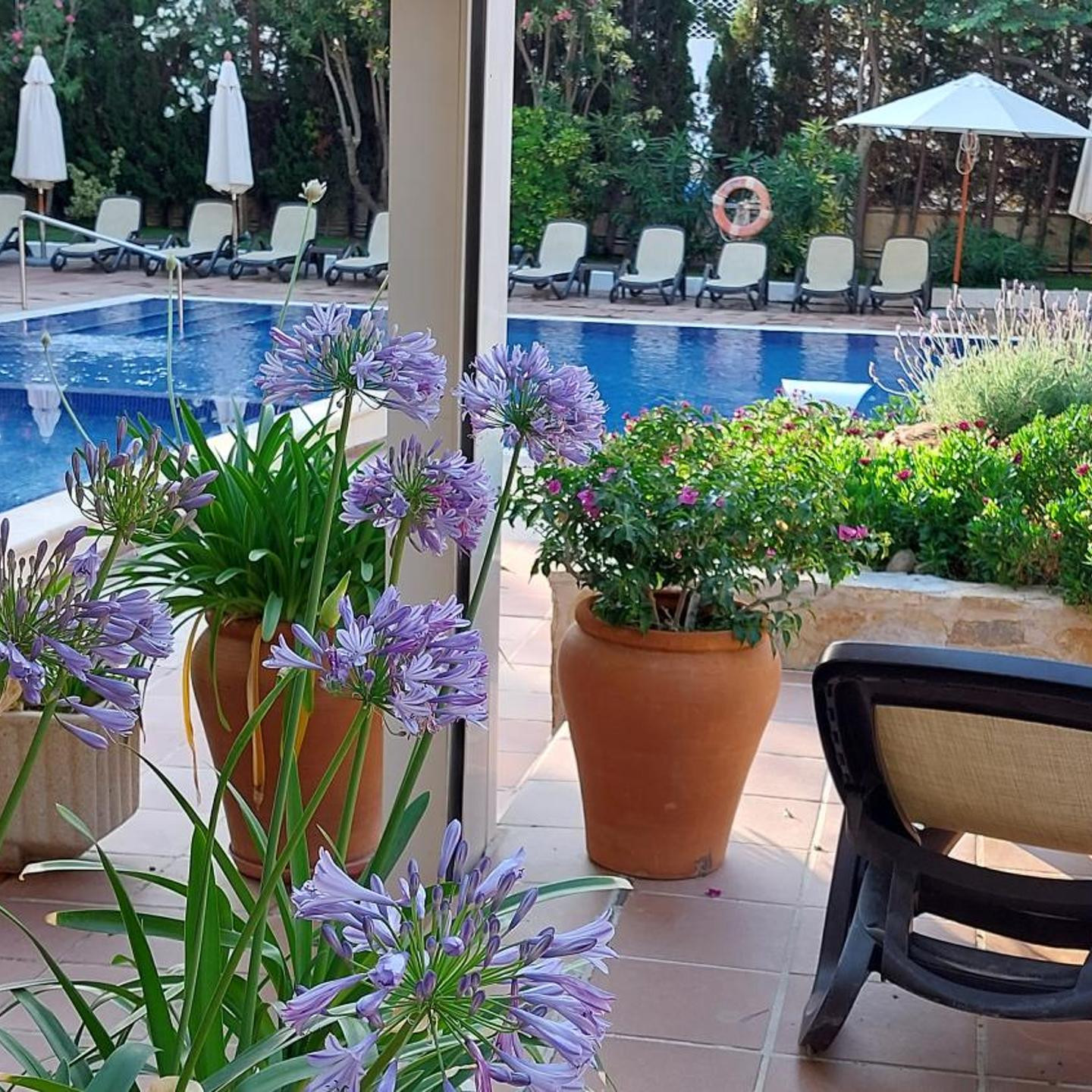 ROC Oberoy - Adults Only